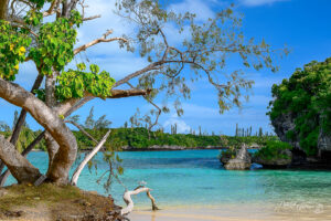 La Patience, Une Qualité Essentielle